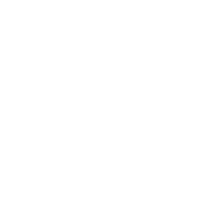 MAV